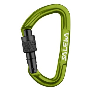 Карабін Salewa Hot G3 Screw, Green, UNI (1724/5810 UNI)