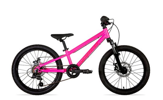 Купити Велосипед дитячий 20" Norco STORM 2.1 2021, рожевий з доставкою по Україні