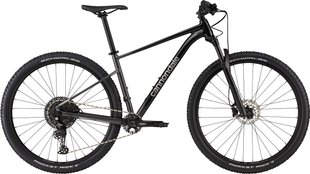 Купити Велосипед 29" Cannondale TRAIL SL 3 2024 BPL L (170-185 см) з доставкою по Україні