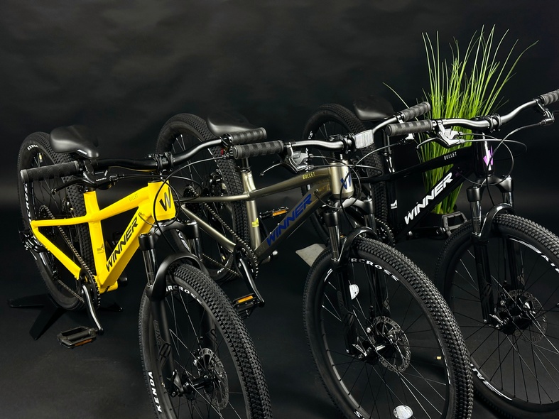 Купити Велосипед WINNER BULLET 24 (2024) з доставкою по Україні