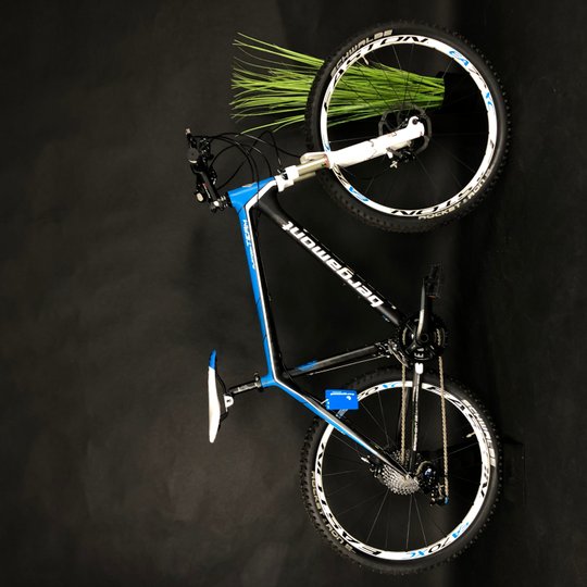 Купить Велосипед горный 26" Bergamont Platoon Team carbon XL", белый с синим и черным. с доставкой по Украине