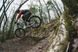 Купити Велошорти TLD Ruckus Short [CAMO GRAY] Розмір XL (36) з доставкою по Україні