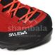 Черевики жіночі Salewa MTN Trainer 2 MID GTX W, Red dahlia/black, р.37 (61398 6840 - 37), 37
