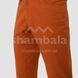 Штани чоловічі Salewa Fanes Hemp M Pants, Blue navy blazer, 50/L (28245/3960 50/L)