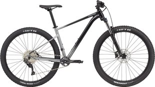 Купить Велосипед 29" Cannondale TRAIL SE 4 2022 GRY M (160-175 см) с доставкой по Украине