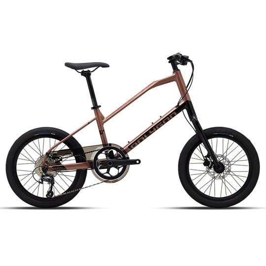 Купити Велосипед Polygon ZETA 2 20″ (Black/Brown) 2023 з доставкою по Україні