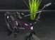 Купити Велосипед BMX 20" Outleap Revolt Plum 2022, фіолетовий з доставкою по Україні