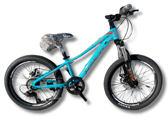 Купить Велосипед Oskar 20" Starry блакитний 2024 с доставкой по Украине