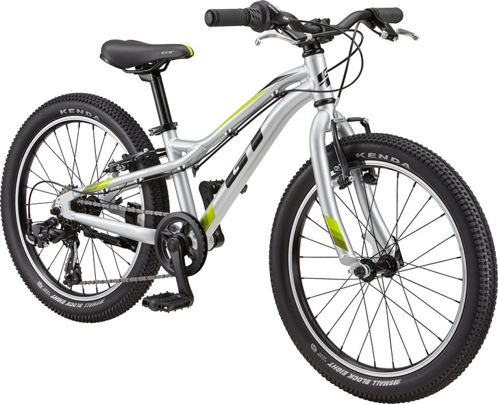 Купити Велосипед дитячий 20" GT STOMPER 20 ACE, сріблястий 2020 з доставкою по Україні