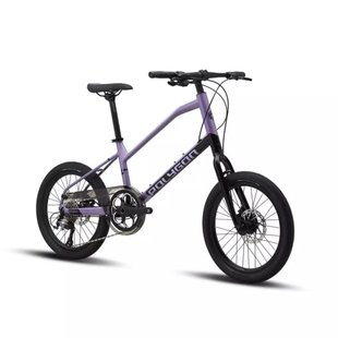 Купити Велосипед 20" Polygon 2023 ZETA 2 Black/Lt/Purple чорно-пурпурний з доставкою по Україні