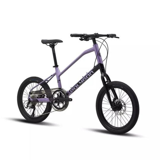 Купити Велосипед 20" Polygon 2023 ZETA 2 Black/Lt/Purple чорно-пурпуровий з доставкою по Україні