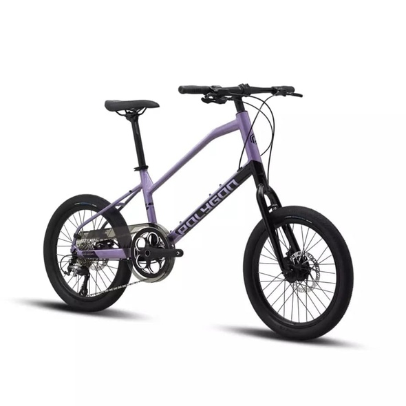 Купить Велосипед Polygon ZETA 2 20″ (Black/Purple) 2023 с доставкой по Украине