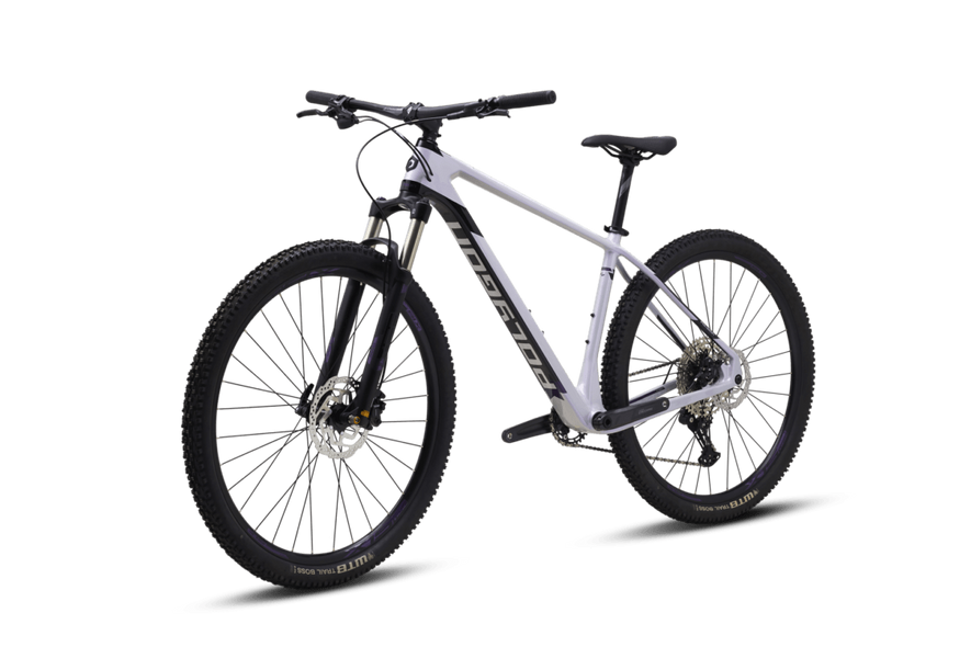 Купить Велосипед POLYGON SYNCLINE C2 27.5 GRY (2021) с доставкой по Украине