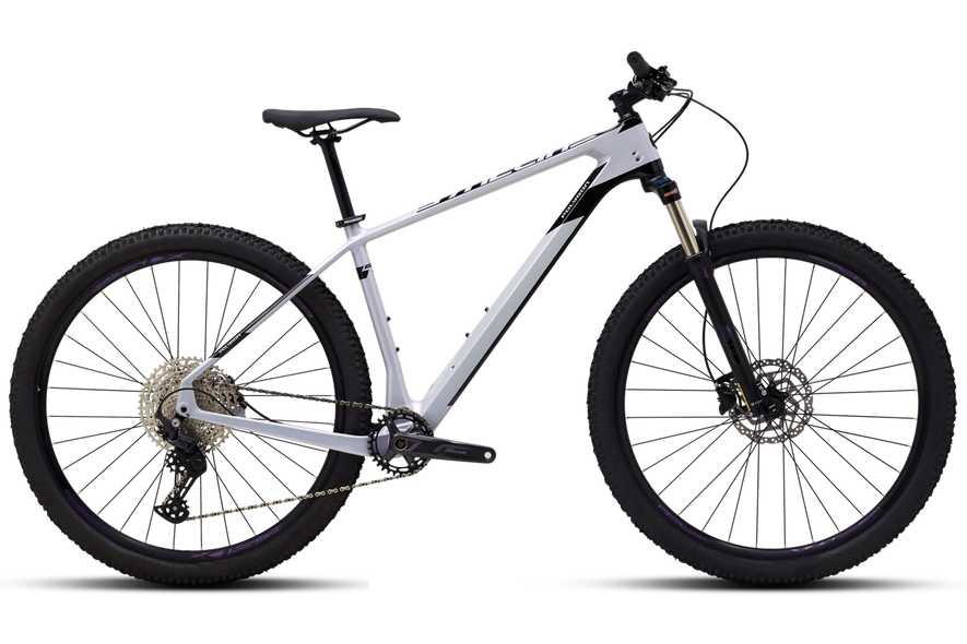 Купить Велосипед POLYGON SYNCLINE C2 27.5 GRY (2021) с доставкой по Украине