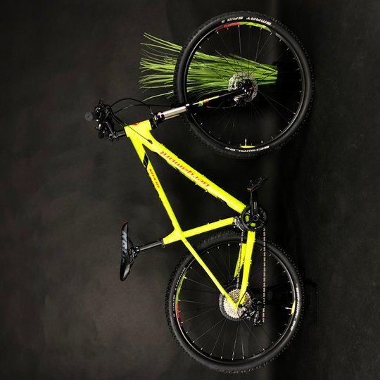Купити Велосипед гірський 29" Bergamont Revox 6.0 L" салатний 2018 з доставкою по Україні