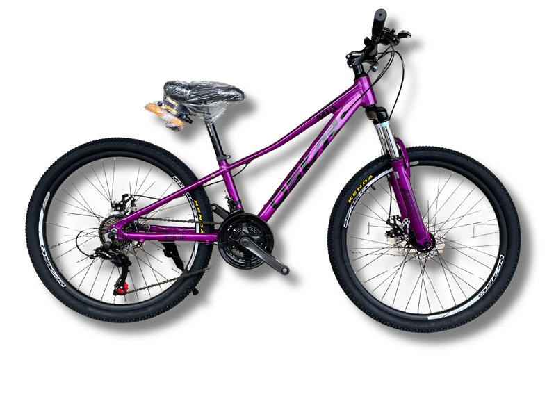 Купить Велосипед Oskar 24" Mia фіолетовий 2024 с доставкой по Украине