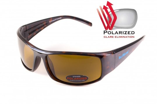 Очки поляризационные BluWater Florida-1 Polarized (brown), коричневые