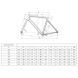 Купити Велосипед BIANCHI Road Sprint ICR 105 Di2 Light Grey / Iridescent Full Glossy 55 з доставкою по Україні