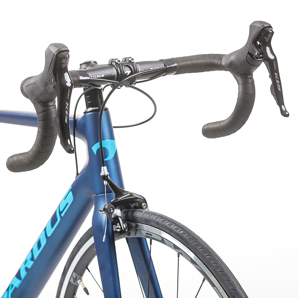 Купить Велосипед PARDUS Road Robin Sport 105 11s Rim 50/34 Blue Размер рамы L с доставкой по Украине