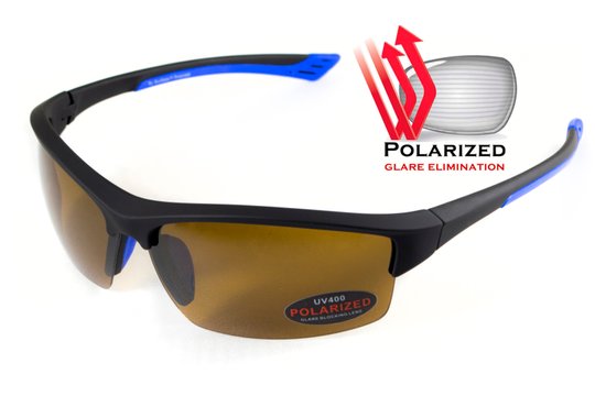 Окуляри поляризаційні BluWater Daytona-1 Polarized (brown) коричневі в чорно-синій