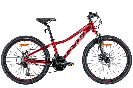 Купити Велосипед 24" Leon JUNIOR AM DD 2022 червоний з сірим з доставкою по Україні