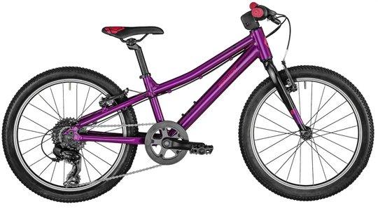 Велосипед Bergamont Bergamonster 20" Girl 2021, 120-135 см