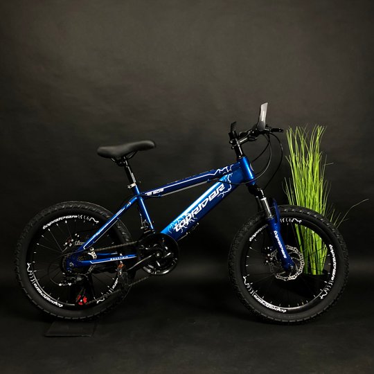 Купить Велосипед детский Toprider 509 20" синий с доставкой по Украине
