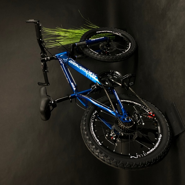 Купити Велосипед дитячий Toprider 509 20" синій з доставкою по Україні