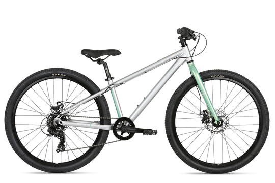 Купити Велосипед підлітковий Haro Beasley 26" 2021-23 Silver/Mint з доставкою по Україні