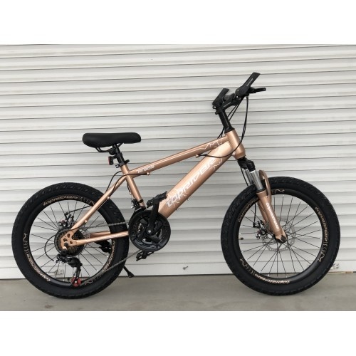 Купити Велосипед дитячий Toprider 509 20" золотий з доставкою по Україні