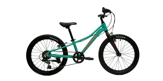 Купить Велосипед детский 20" Kinetic Coyote 9" 2023 зелёный с доставкой по Украине