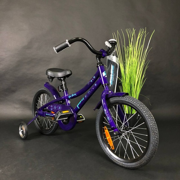 Купити Велосипед дитячий 16" Jamis Miss Daisy AL 2019, фіолетовий з доставкою по Україні