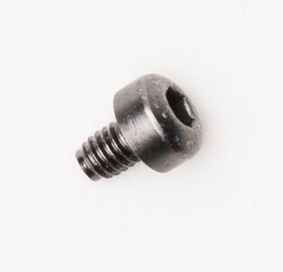 BUCKLE SCREWS (Silver), No Size