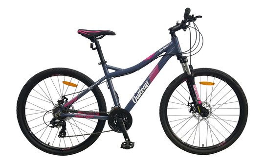 Купити Велосипед гірський 27,5" Outleap BLISS SPORT M, сірий 2019 з доставкою по Україні